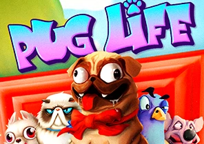 Spil Pug Life for sjov på vores danske online casino