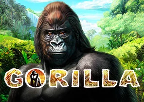 Spil Gorilla for sjov på vores danske online casino