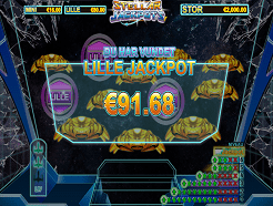 nyt-spil-dolphin-gold-stellar-jackpot