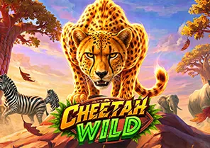 Cheetah Wild