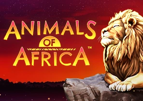 Spil Animals of Africa for sjov på vores danske online casino